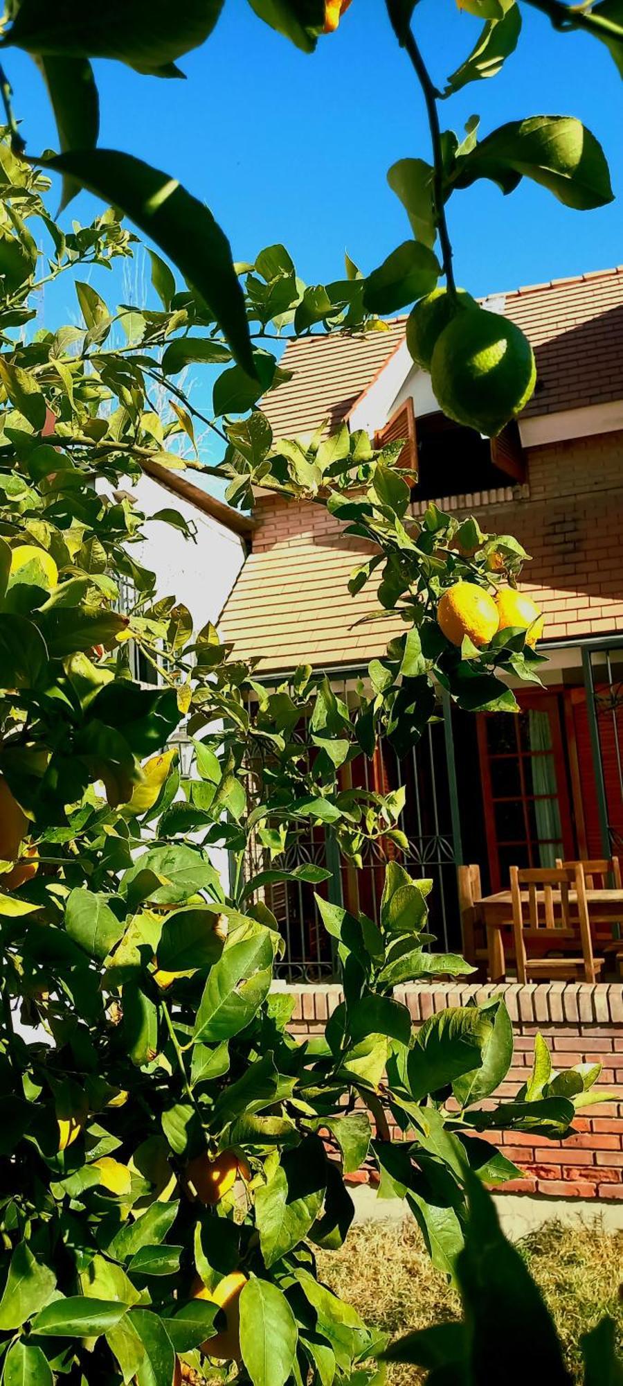 Casa Bravo Acomodação com café da manhã Mendoza Exterior foto